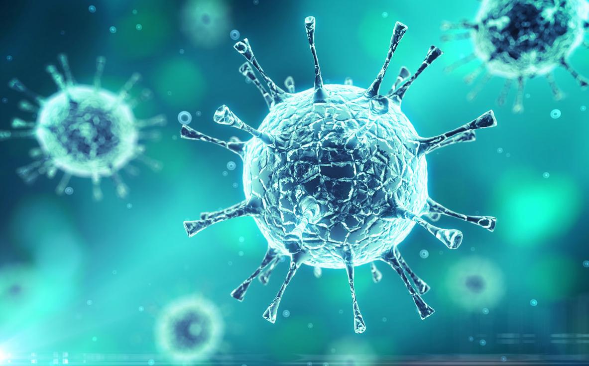 新版高中生物概念必背大全,高中生物必背概念汇总