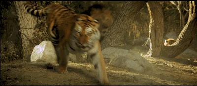 狮虎和百兽之王哪个厉害,狮虎大战真相