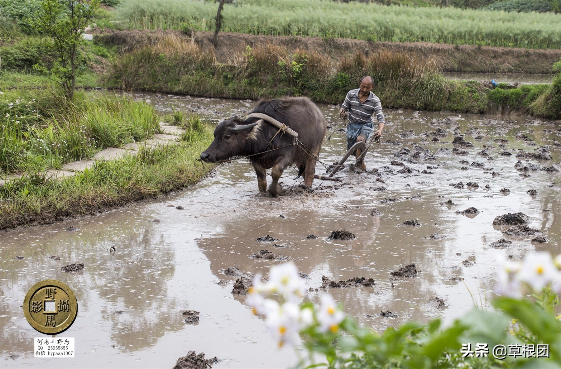 原广安县代市区有几个公社,广安消失的街道