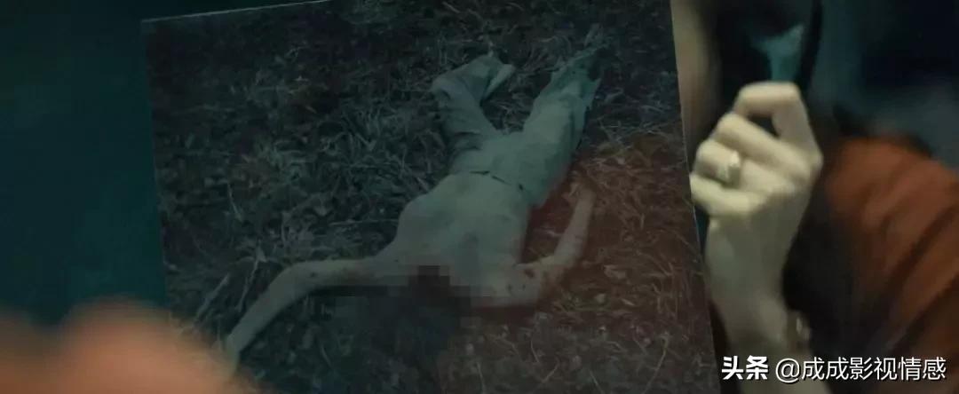 极端邪恶连环杀手电影解析,极端邪恶连环杀手电影完整版