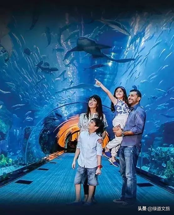 造价350亿！明明是个超级游乐场，非要说自己是购物中心