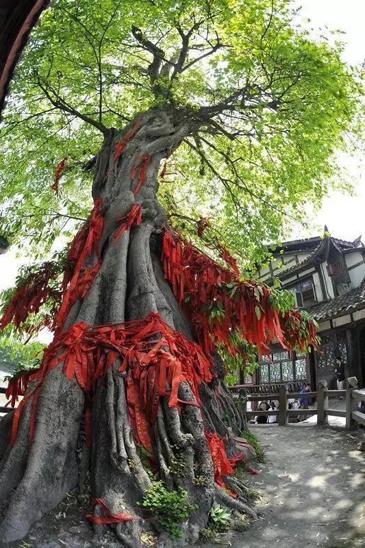 漫步天府之国黄龙溪古镇,成都黄龙溪鹿溪河