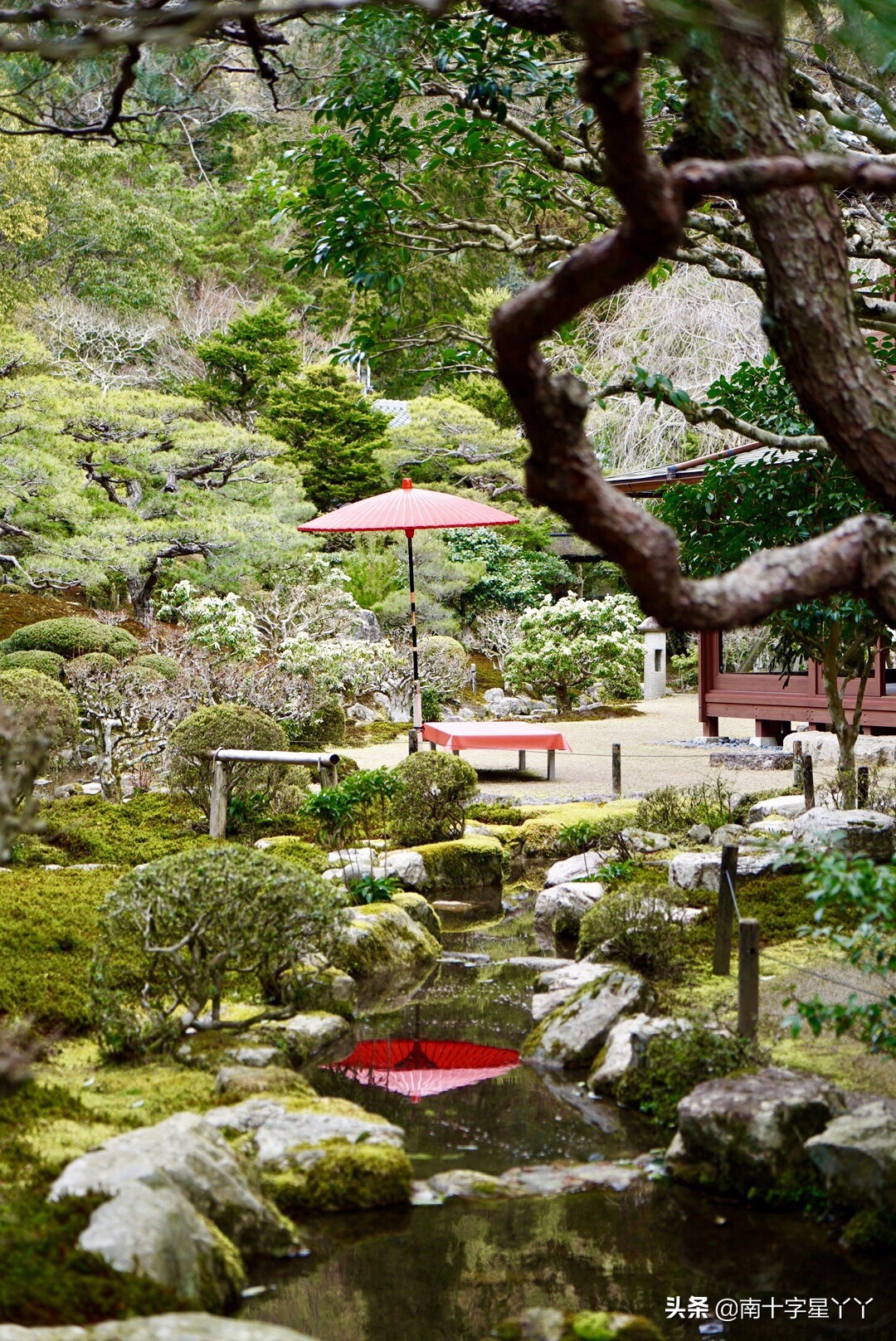 这个樱花季,造访SKII神仙水的水源地