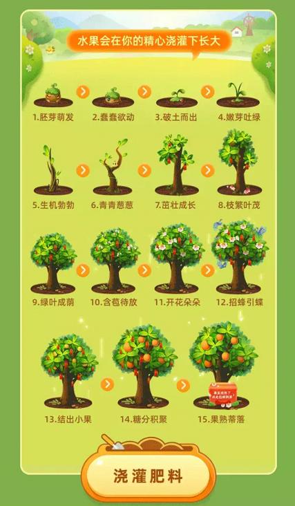 拼多多美团淘宝种水果,拼多多淘宝京东哪个种树快