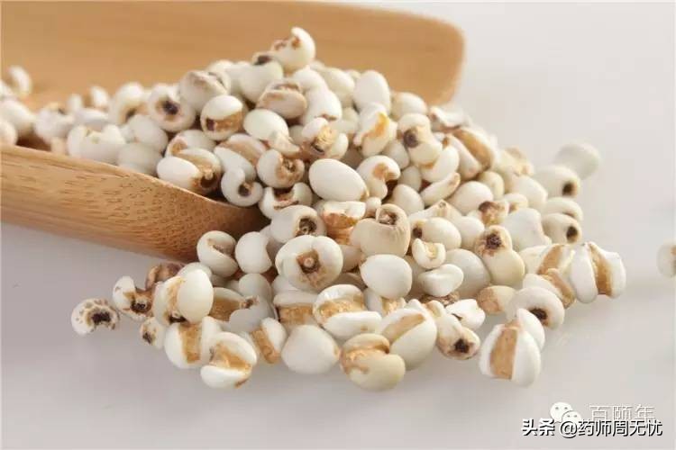 中药汤头歌诀白话解全集,超长篇中药四百味白话解释