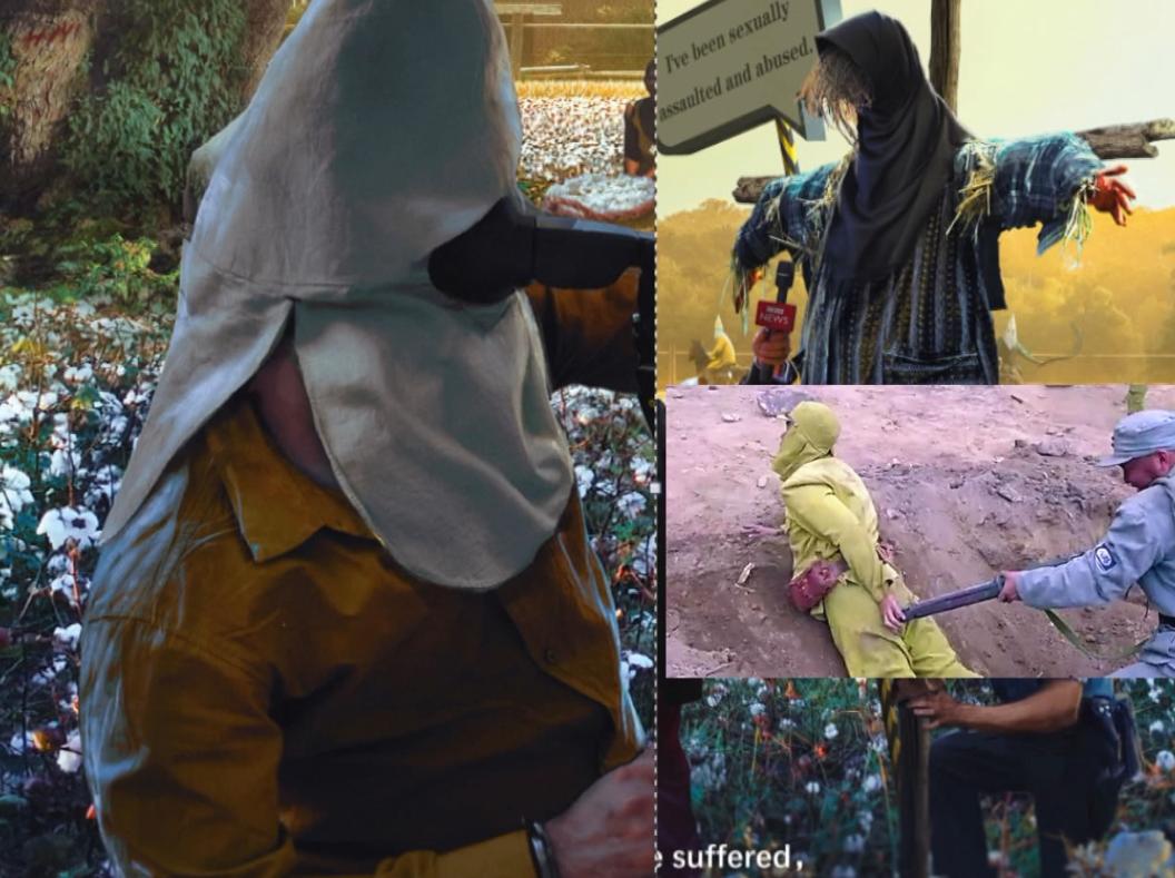 乌合麒麟血棉解析,乌合麒麟怒揭血棉真相