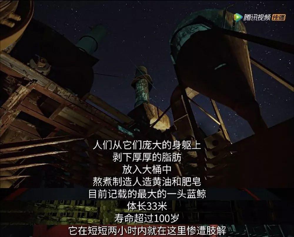 炸裂9.9,BBC再出神片,美得让人脸红