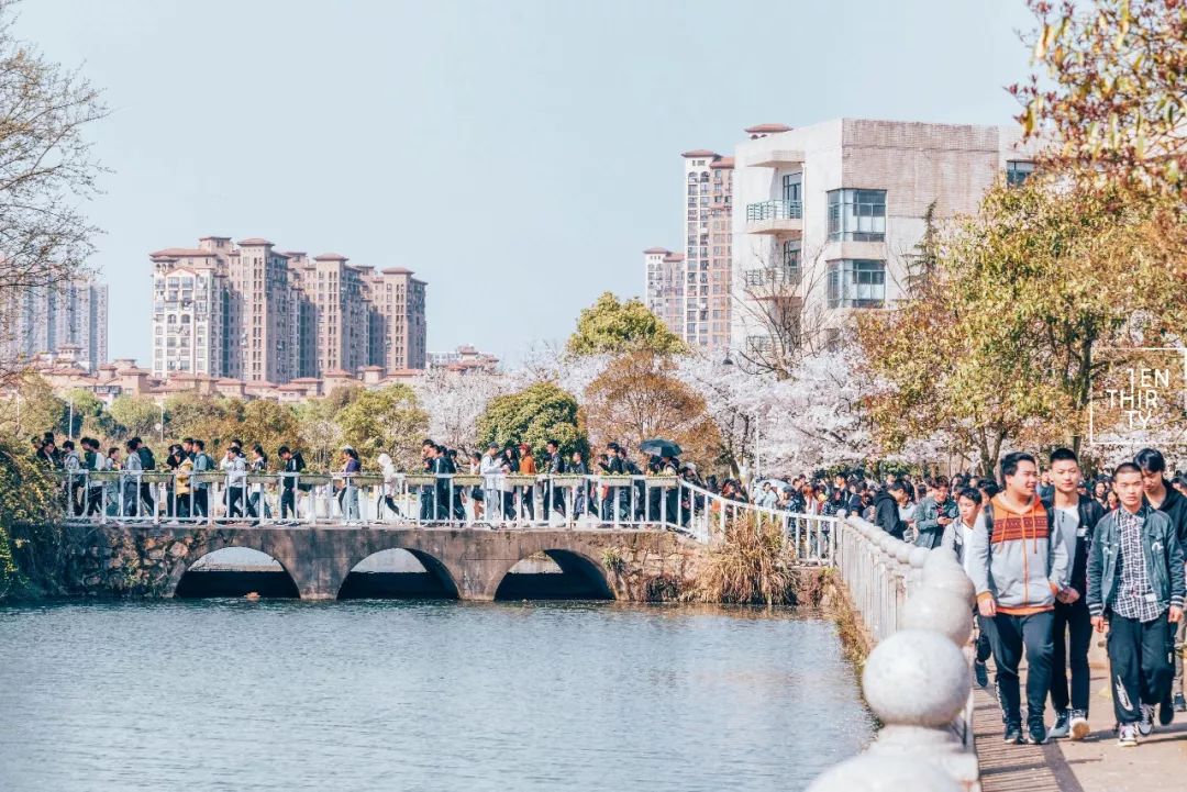 湖北经济学院为什么叫藏龙岛,湖北经济学院在江夏藏龙岛吗