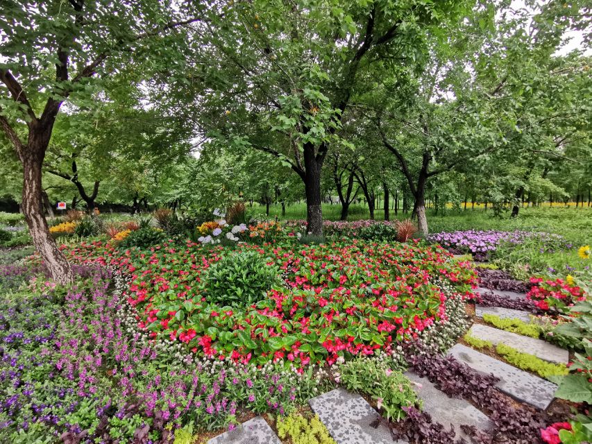 百花园里花里花争艳,百花园里百花香
