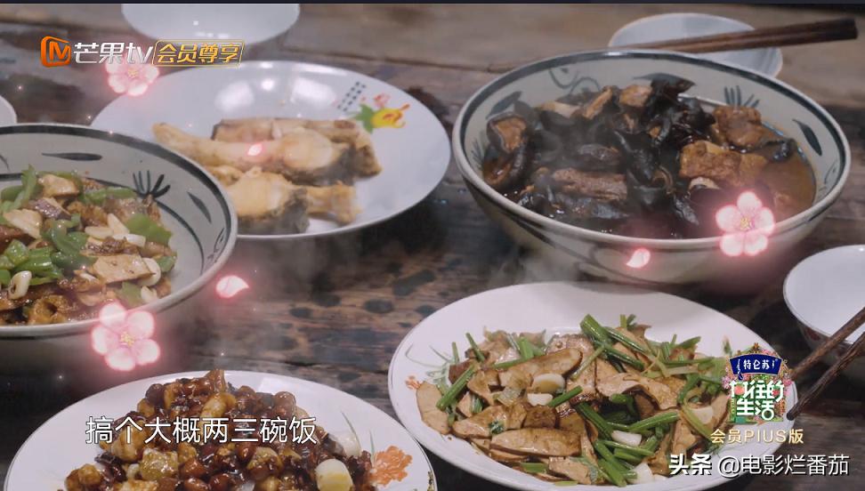 向往的生活2023会完结吗,向往的生活第七季怎么停更了