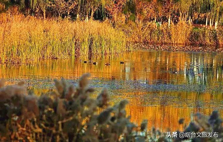 大自然打翻了调色板的唯美句子,烟台自然景点