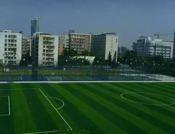 福田花卉世界最新消息,福田花卉世界改造