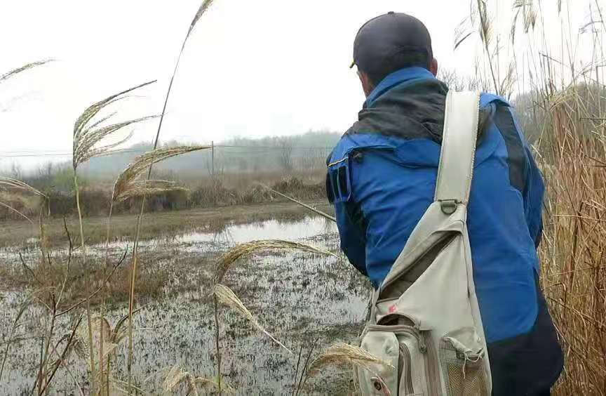 crony科尼渔具,crony科尼路亚微物竿