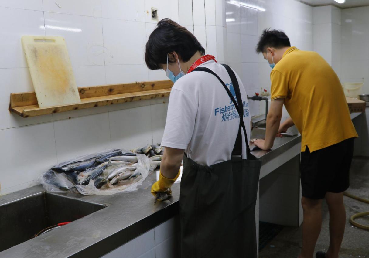 秋分后不要乱贴秋膘,立秋贴秋膘还是秋分贴秋膘