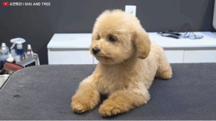 tony老师高阶换头术,90后tony老师换头术