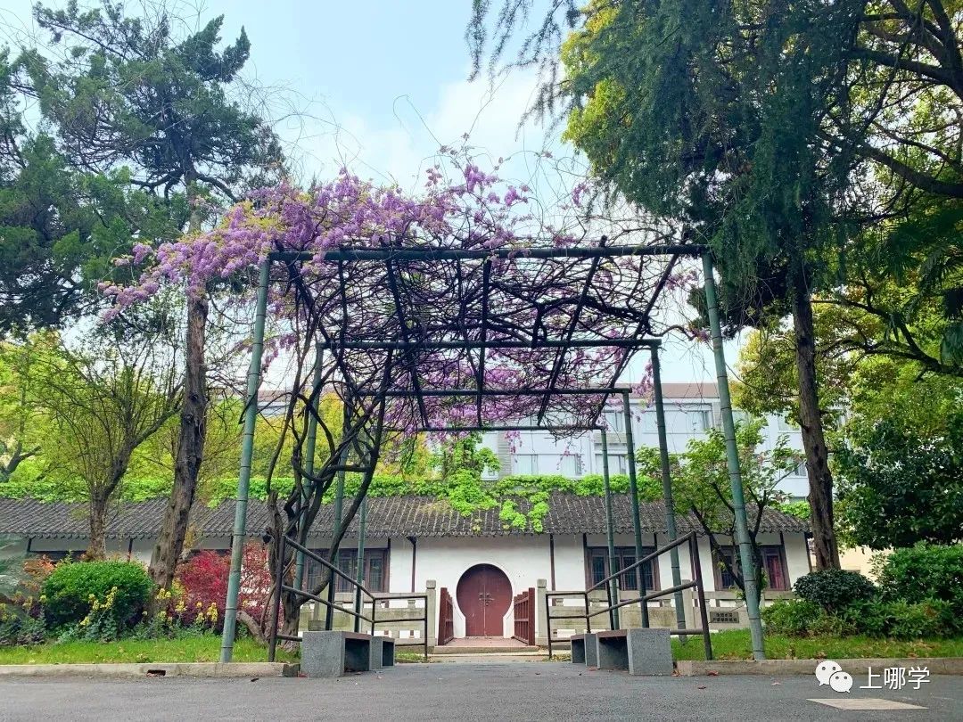 市重点超46%！上海这所优质初中，去年人户一致不满3年被统筹