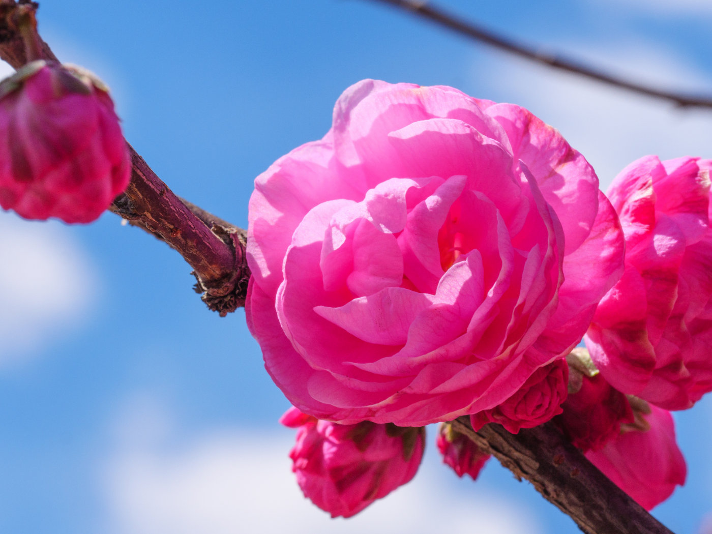 富士XT30+18-55套机开箱、使用初体验