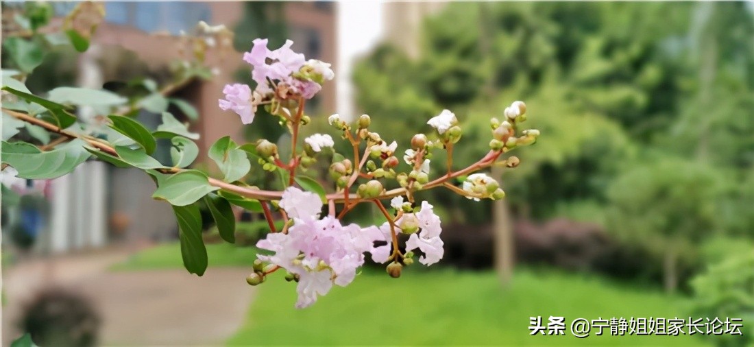 三小联中是哪三所学校,三小联中排名