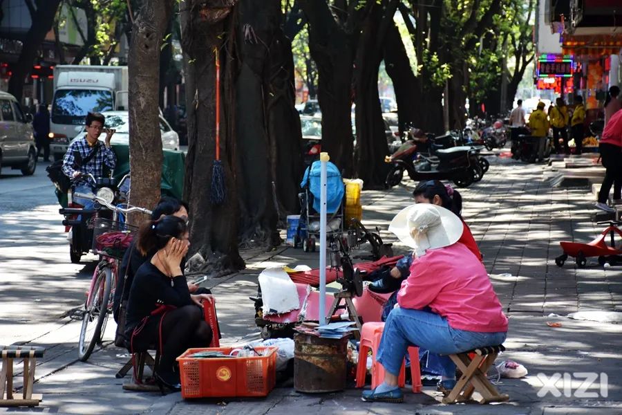 美丽鹅城,最美鹅城