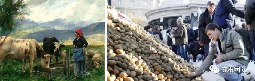 茶人学习:欧洲国家农民合作社融资实践