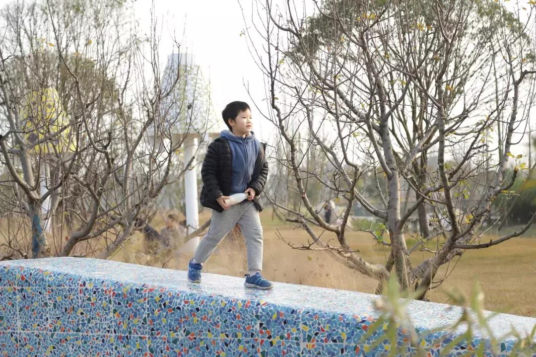 宛若美人卧成都，江家艺苑了解一下