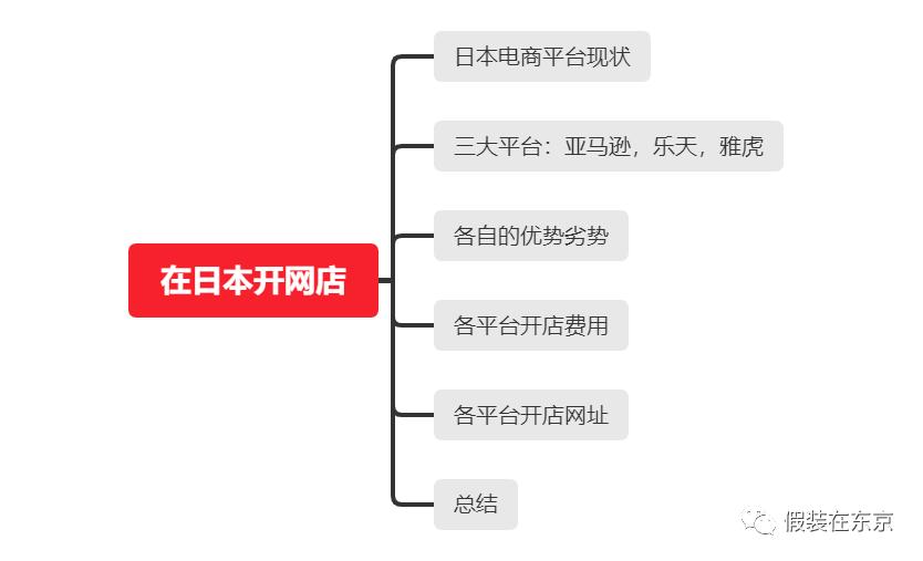 日本网店平台有哪些,日本网店平台