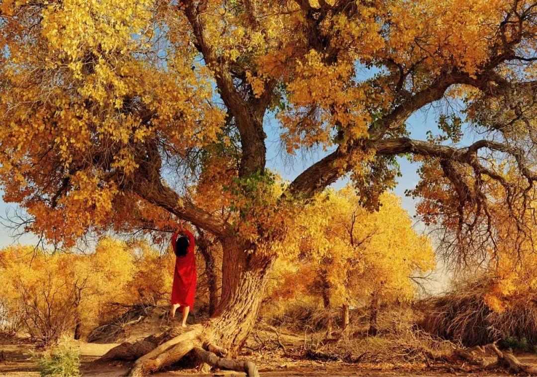 五一这样拼假可连休9天,快来看五一放假四天最全拼假攻略