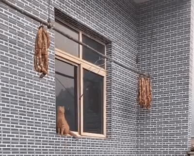 <html>
<head><title>502BadGateway</title></head>
<body>
<center><h1>502BadGateway</h1></center>
<hr><center>nginx</center>
</body>
</html>
<!--apaddingtodisableMSIEandChromefriendlyerrorpage-->
<!--apaddingtodisableMSIEandChromefriendlyerrorpage-->
<!--apaddingtodisableMSIEandChromefriendlyerrorpage-->
<!--apaddingtodisableMSIEandChromefriendlyerrorpage-->
<!--apaddingtodisableMSIEandChromefriendlyerrorpage-->
<!--apaddingtodisableMSIEandChromefriendlyerrorpage-->
