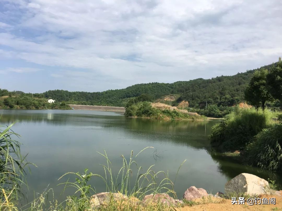野钓用什么鱼饵避开小杂鱼,野钓小杂鱼闹窝太严重用什么饵料