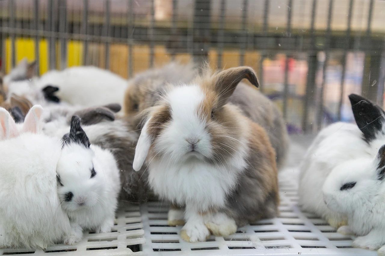 深圳旅游好去处推荐,深圳宝安区周末休闲浪漫好去处