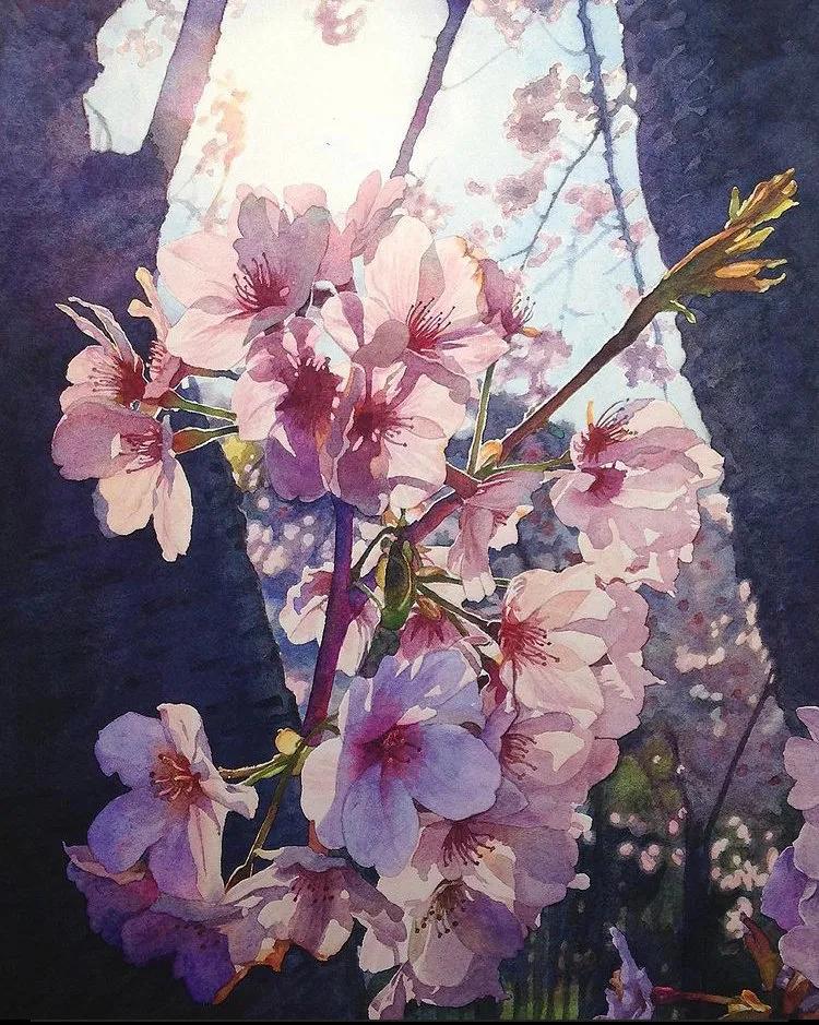 钻石思维的12种思维逻辑,好书推荐受益一生的世界顶级思维