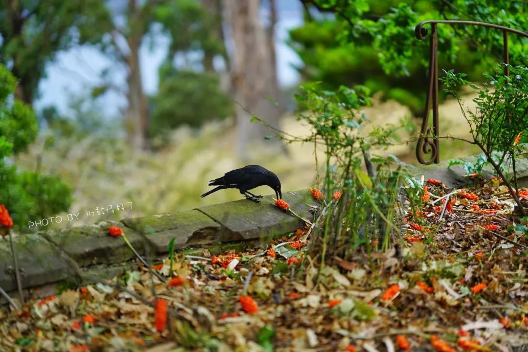 世界最美监狱,号称世界最美监狱