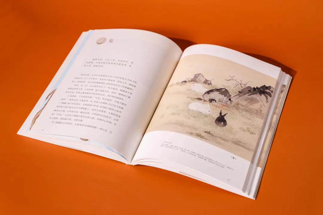 世界那么大我想去看看读书笔记,世界那么大我想去看看古诗