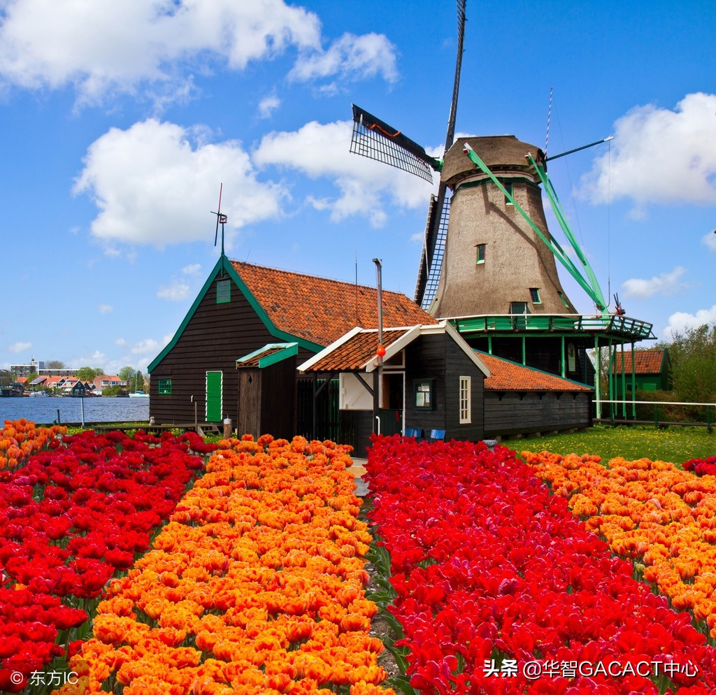 为啥不建议荷兰留学,千万别去西班牙留学