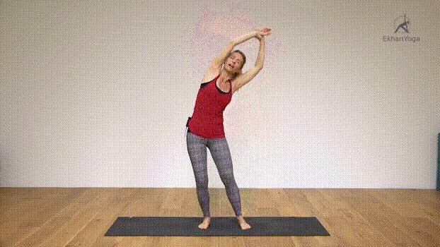 早晨瑜伽动作10分钟排毒养颜,清晨的瑜伽疏通经络