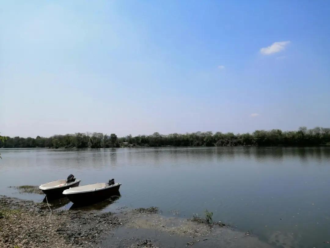 温江金马湖现状,金马湖烂尾楼在哪里