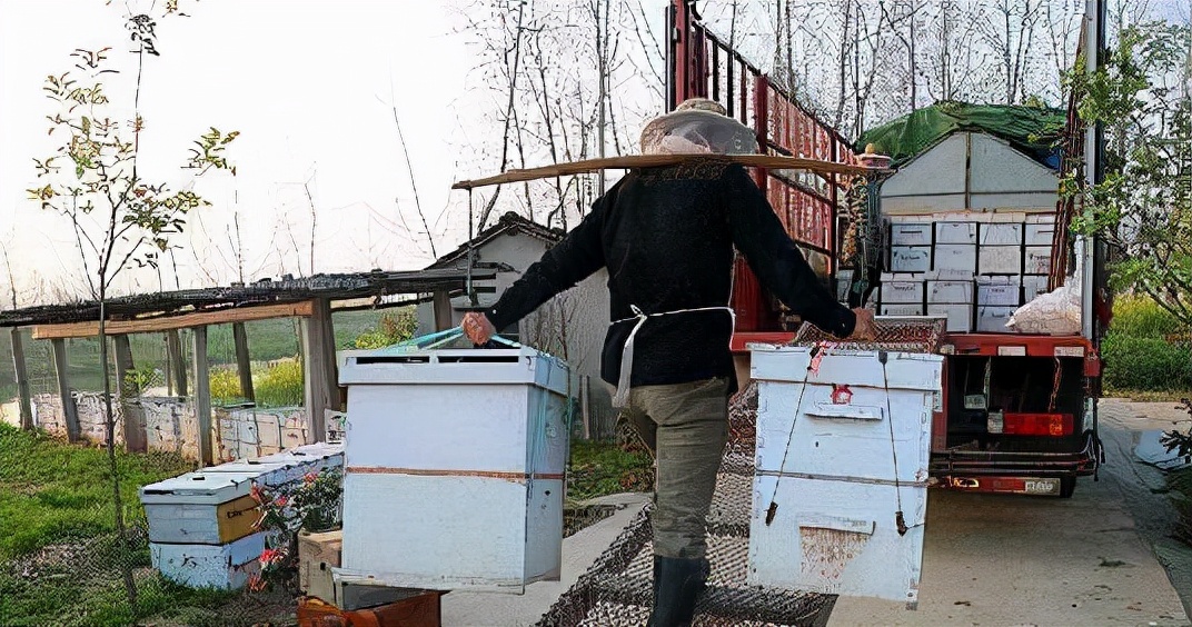 蜂蜜价格低一定是假蜜吗,市场上的蜂蜜怎么辨别真假