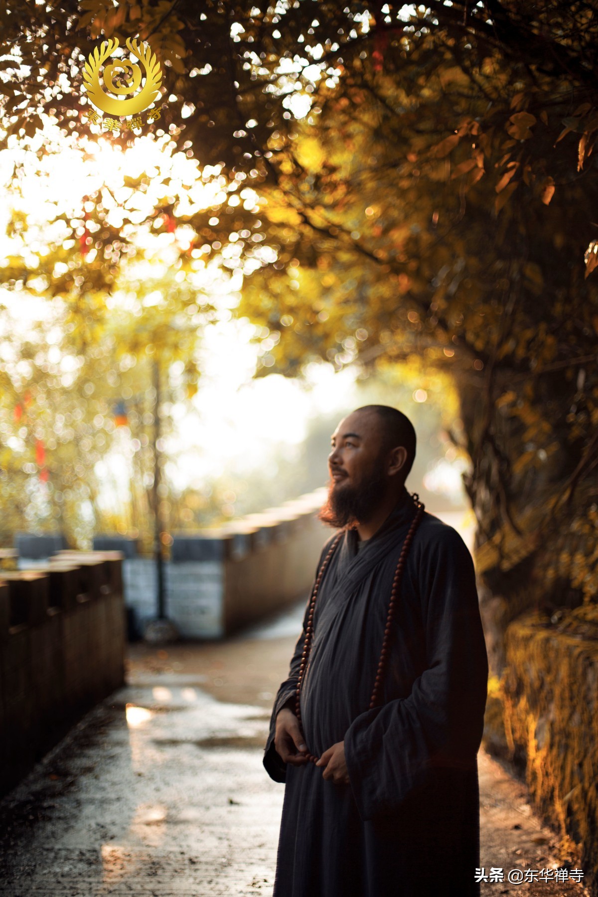 万行开示,万行法师讲福报