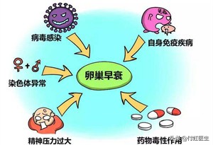 27岁月经乱了FSH两次升高，我卵巢早衰了吗？