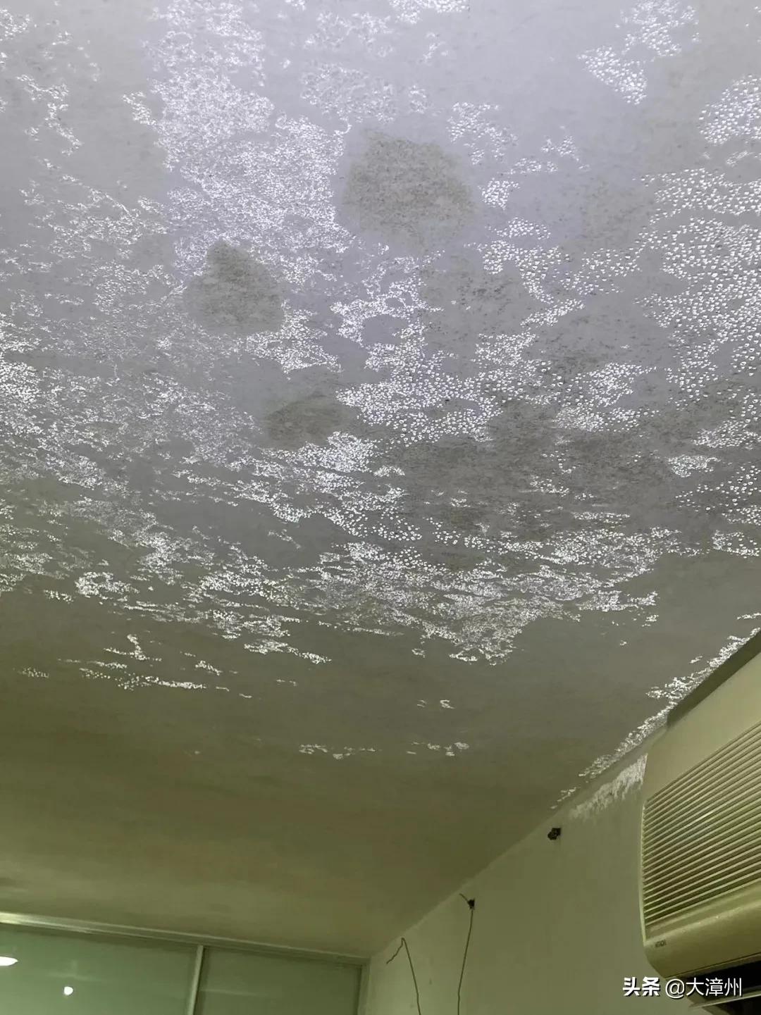 漳州市龙海石码美景,龙海石码全景美景