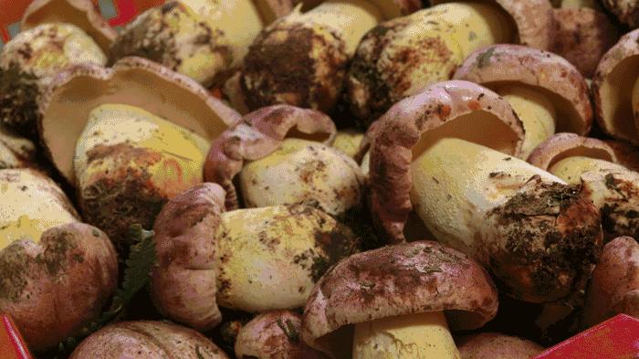 昆明美食街吃的美食推荐,昆明各类美食合集