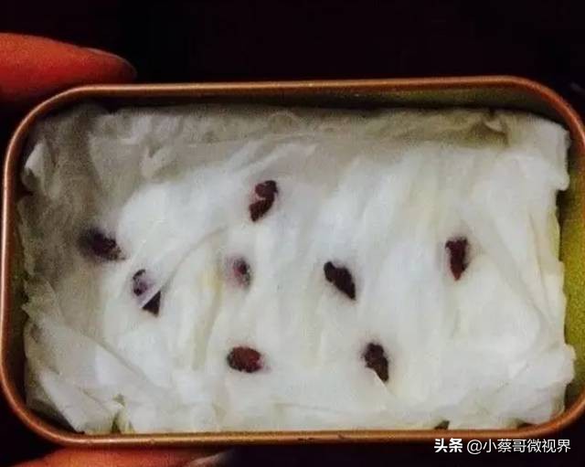 吃完的水果种子不要丢,吃完水果果核别扔