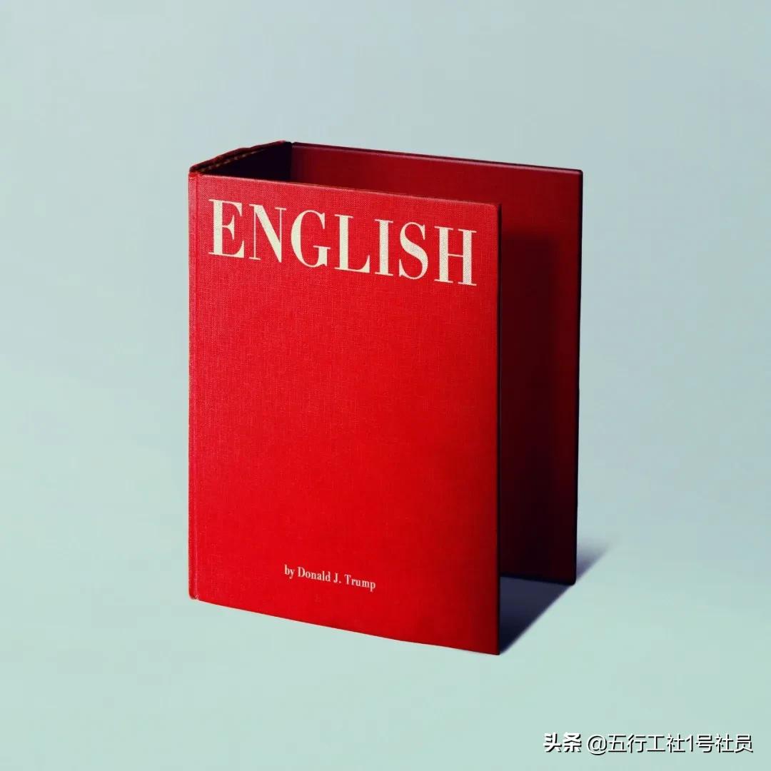 纽约时报年度最佳童书绘本推荐,纽约时报年度最佳图书