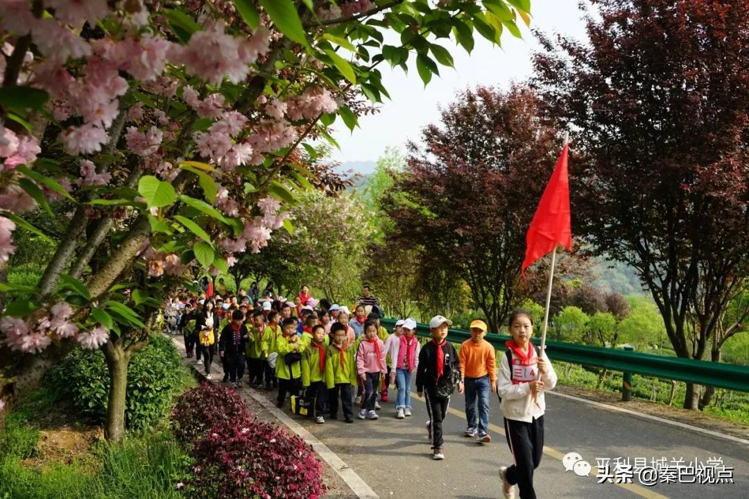 期末班级户外实践活动小学,平岚小学户外拓展研学活动