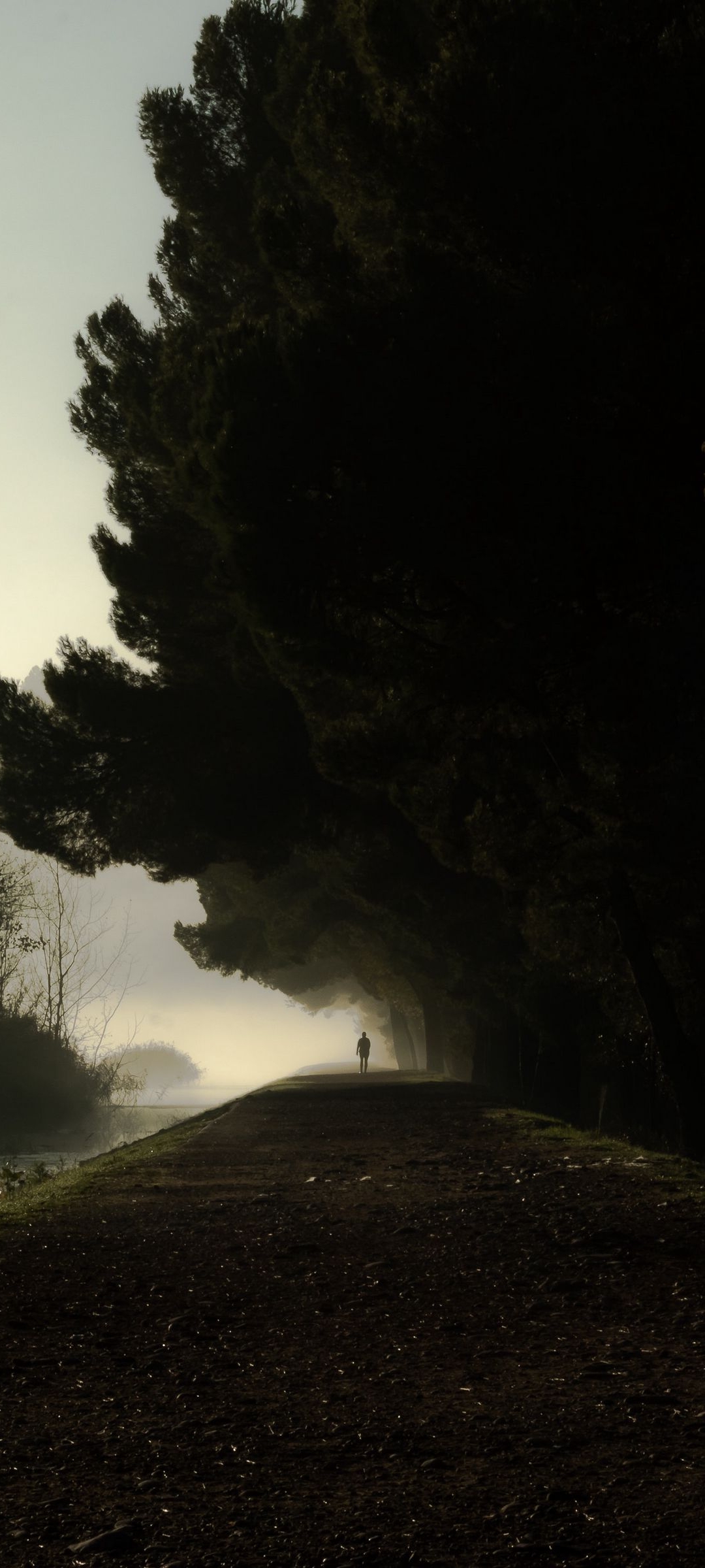 足球绿茵场高清壁纸,夏日绿茵场