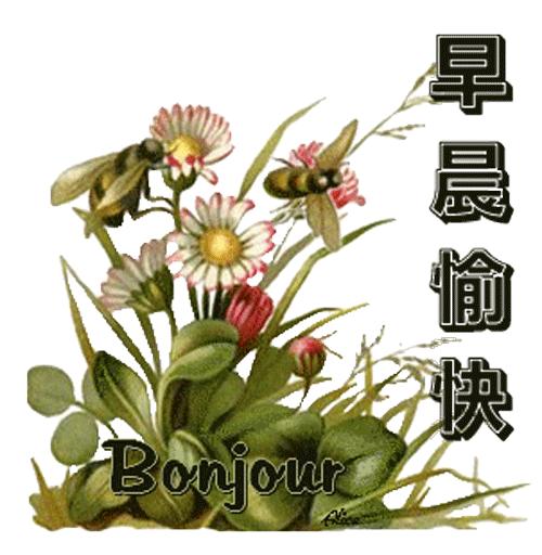 问好表情包｜生活就像一架钢琴：白键是快乐，黑键是悲伤。