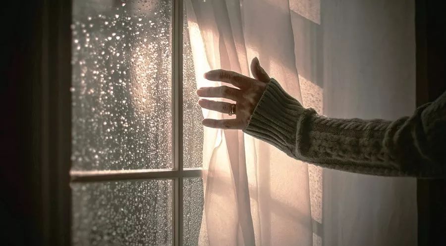 生而为人无罪你不需要抱歉出处,生而为人你不需要抱歉