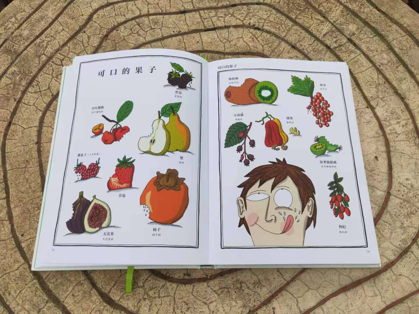 哪些植物有自己的小秘密,植物的朋友圈绘本视频