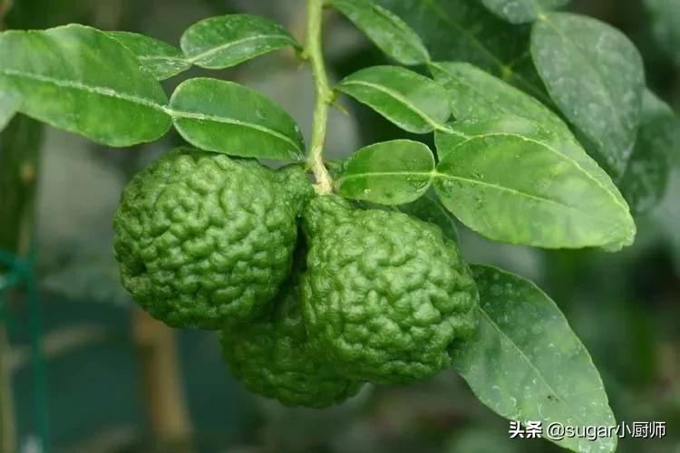 我懒！拒绝太复杂的，这个蛋糕好，哈哈，今晚就翻她牌子了