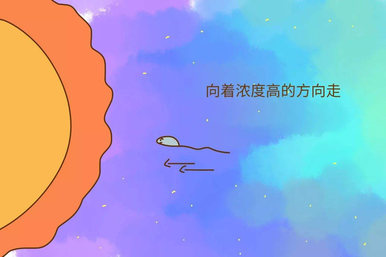 没受孕的精子在女性体内，最后都去了哪里？听听医生的答案